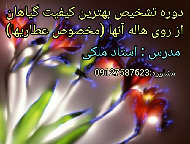 دوره هاله شناسی گیاهان مخصوص عطاران و کسانی که در زمینه محصولات سالم کار می کنند