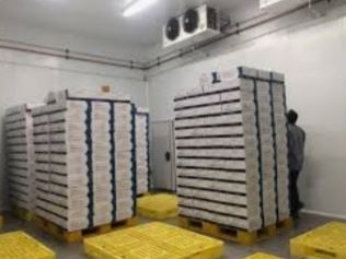 ساخت سردخانه در سمنان