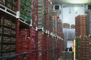 ساخت سردخانه در یاسوج