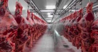 ساخت سردخانه در یاسوج