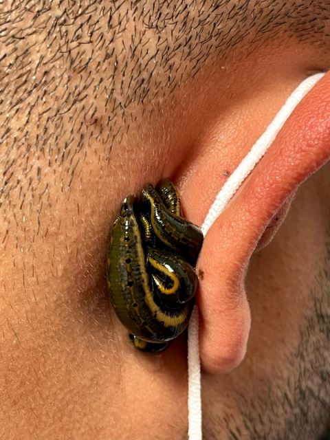 مرکزحجامت در پردیس