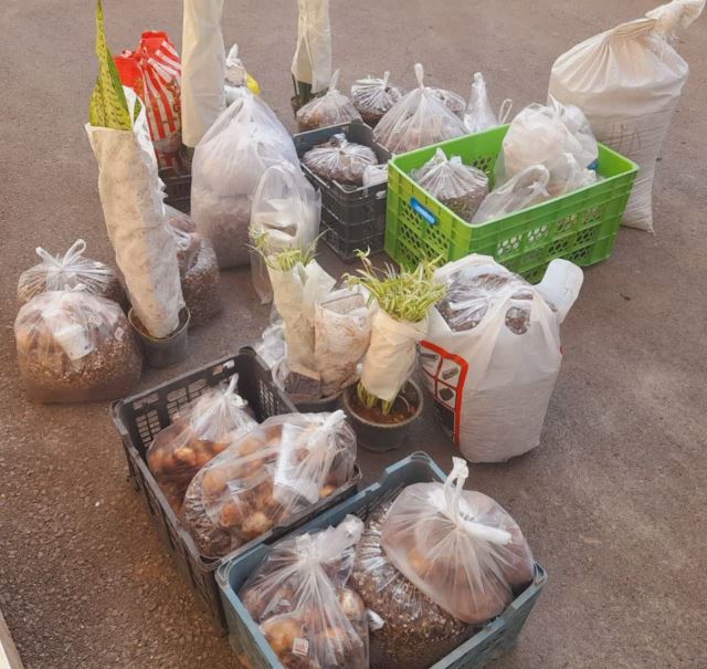 ارسالی ها 1402/07/23