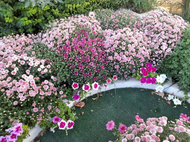 باغ فرانسوی