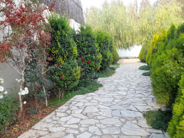 آبان جان عمارت ونوس