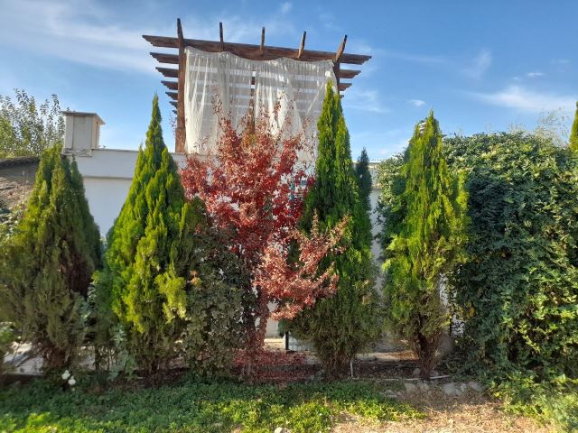 آبان جان عمارت ونوس