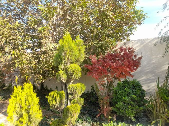 آبان جان عمارت ونوس