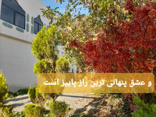 آبان جان عمارت ونوس