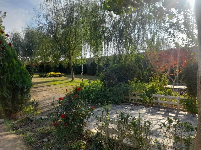 آبان جان عمارت ونوس