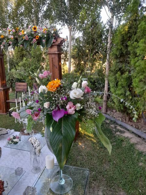 لوکیشن عکاسی