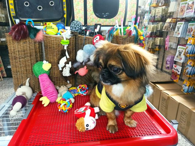 مولتی ویتامین سگ