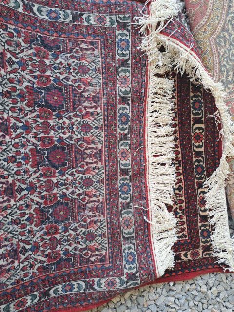 بهترین قالیشویی کاوه