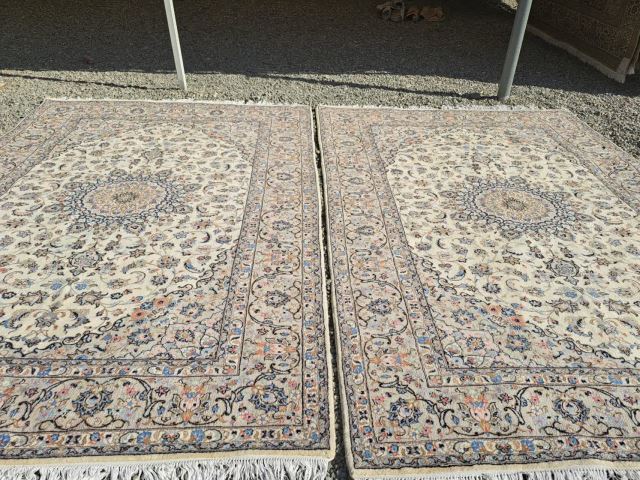 قالیشویی جی شیر