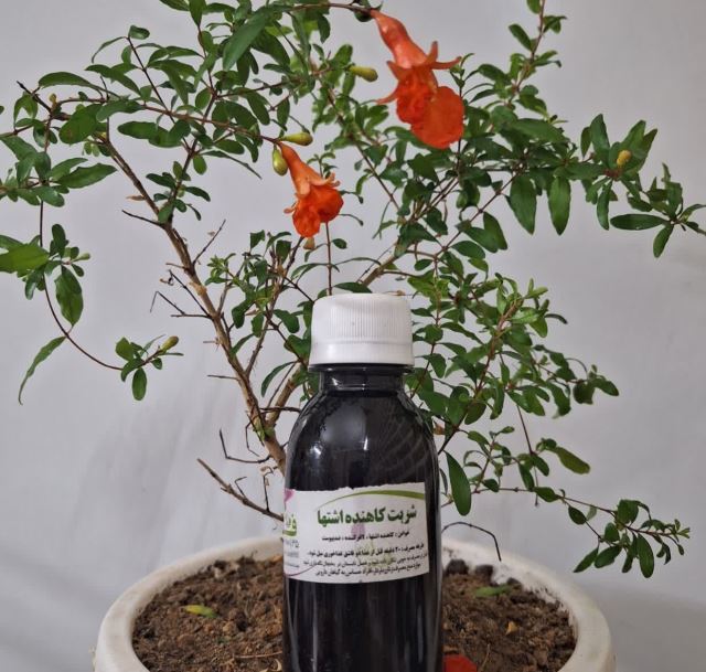 شربت کاهنده اشتها