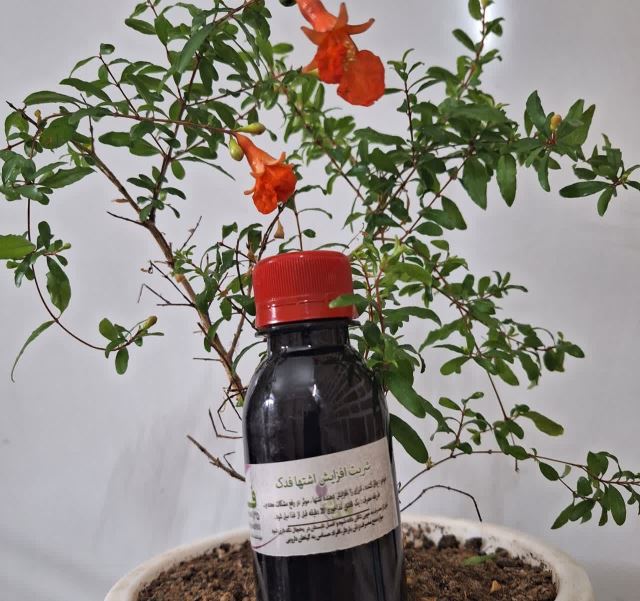 شربت افزایش اشتها