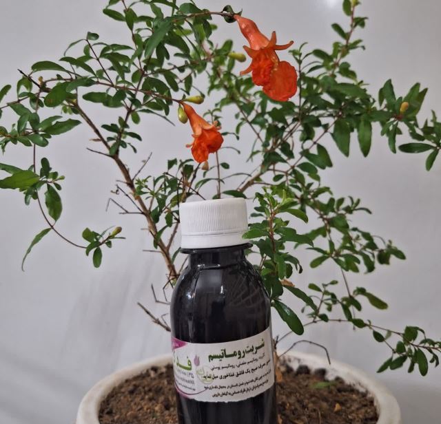 شربت روماتیسم