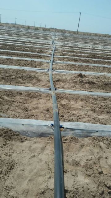 قیمت لوله تاشو کشاورزی