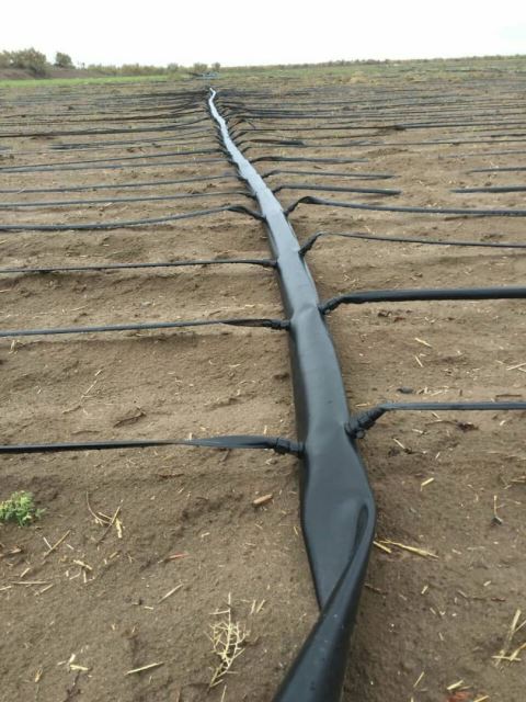 قیمت لوله تاشو کشاورزی