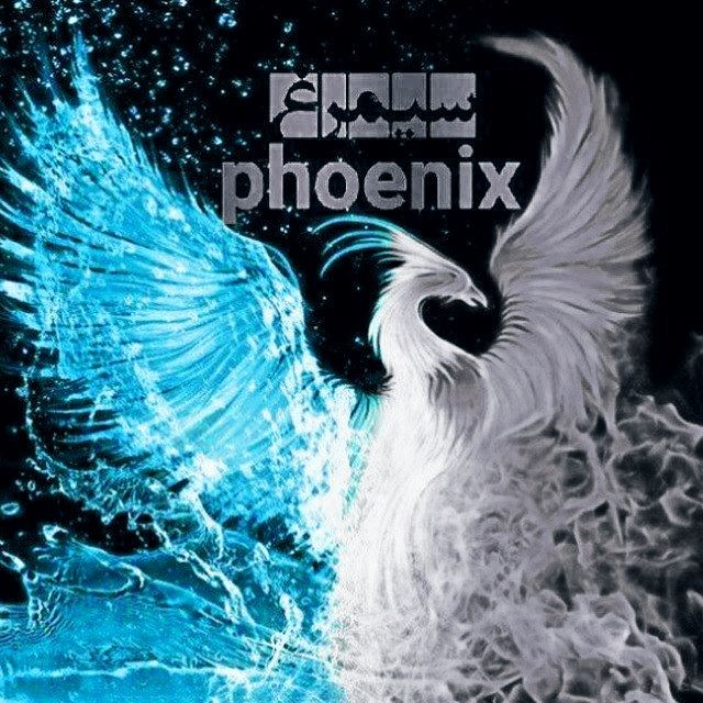 سید مسلم موسوی نژاد