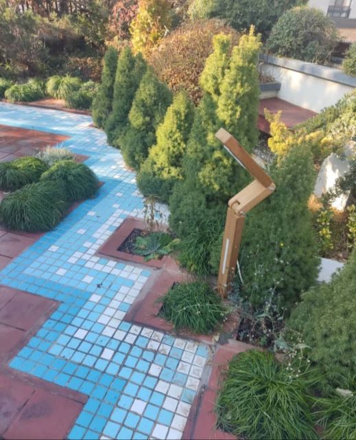 نمای اطراف استخر