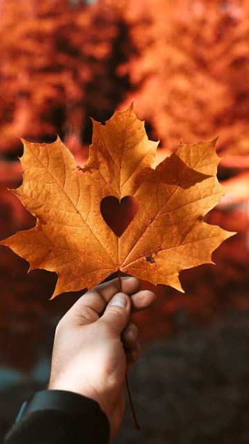 تعمیرات مبل ابوذر