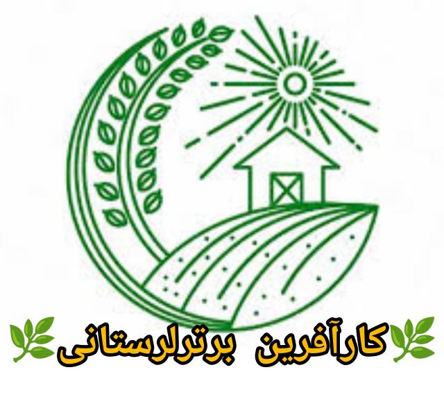 نصرت الله رشیدی