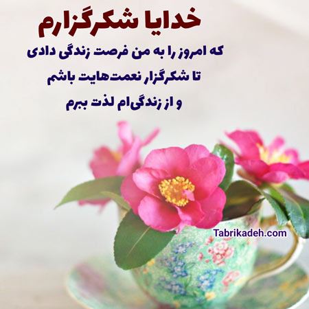 شکرگذاری