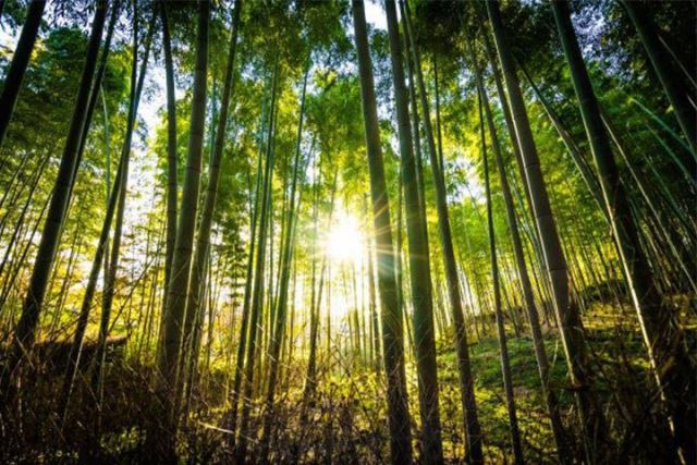 مکان های تفریحی و طبیعت گردی دامغان