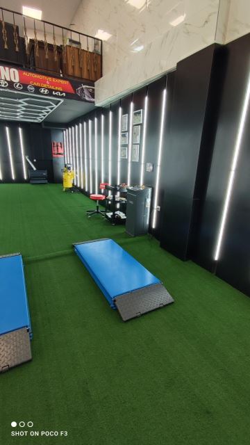 احیای رنگ کارنو