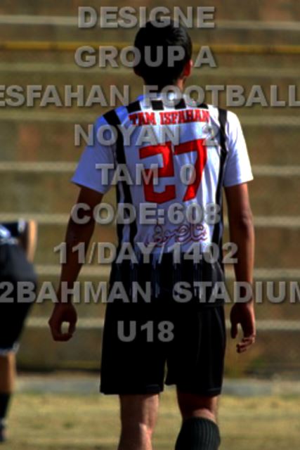 فوتبال حرفه ای