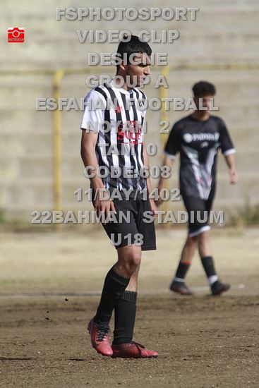 فوتبال حرفه ای