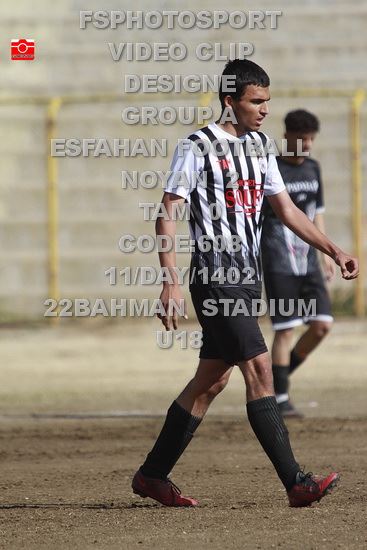 فوتبال حرفه ای