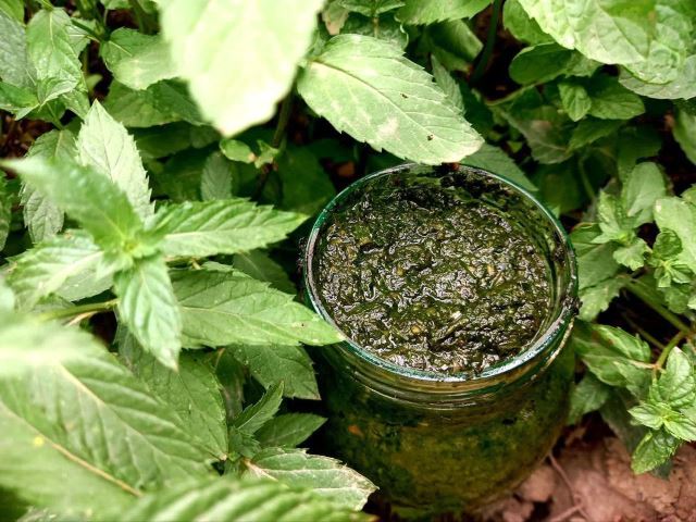 سبزی های معطر شمال