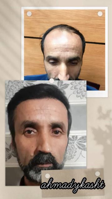 فریبا احمدی