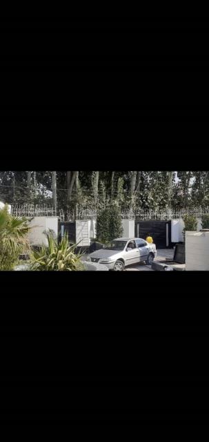 شاخ گوزنی کرج