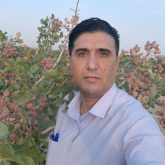 صبا پسته عزیزی