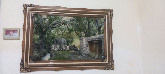 عکس محصولات