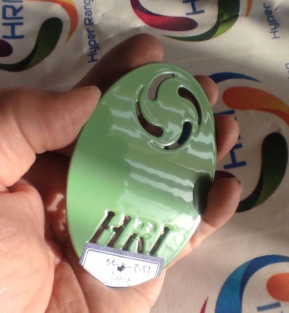 polyester GREEN 6021RAL