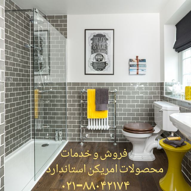 تعمیر توالت فرنگی های American Standard